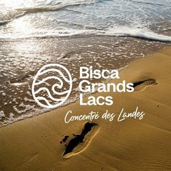 biscarrosse grands lacs destination nature ocean plages landes